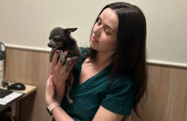 Видалення зубів у собак. Коли треба робити?