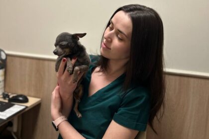 Видалення зубів у собак. Коли треба робити?