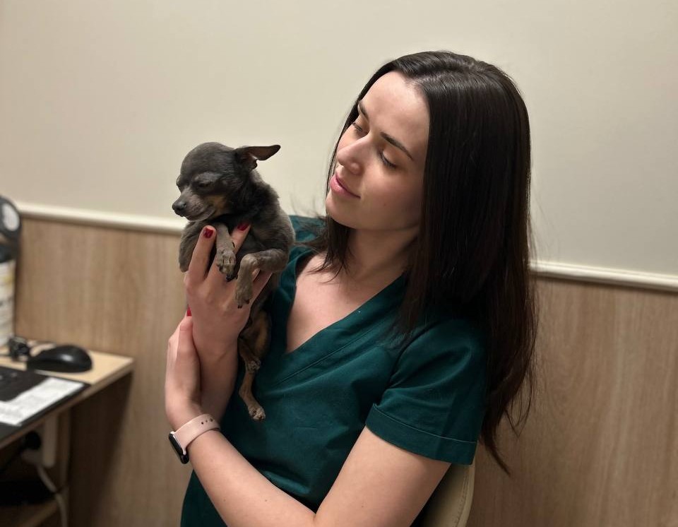 Видалення зубів у собак. Коли треба робити?