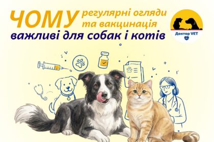 Чому регулярні огляди та вакцинація важливі для собак і котів?