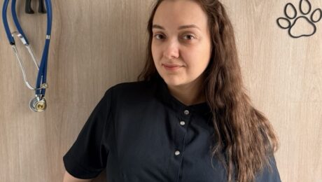 English-speaking veterinarian in Lviv: consultation at Doctor Vet