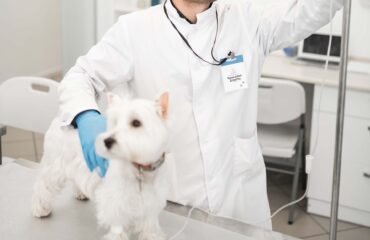 Коварність доброякісних пухлин