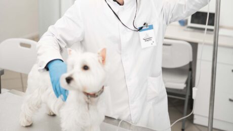 Коварність доброякісних пухлин Коварність доброякісних пухлин