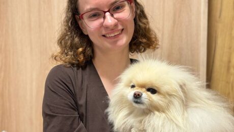 Дещо про аналізи котам і собакам Дещо про аналізи котам і собакам