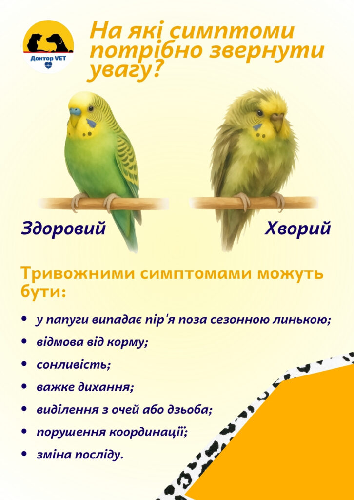 Комфортне життя домашніх птахів