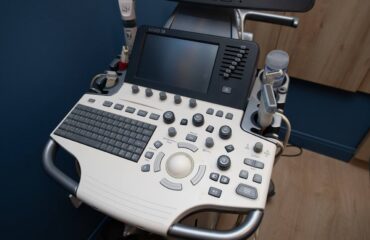 УЗД для тварин: чекап або за потреби