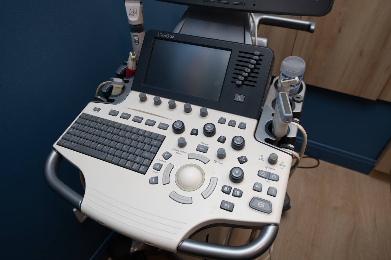 УЗД для тварин: чекап або за потреби