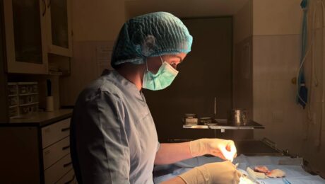 Ветеринарна хірургія у Доктор Вет. Чим можемо бути корисними? Ветеринарна хірургія у Доктор Вет. Чим можемо бути корисними?