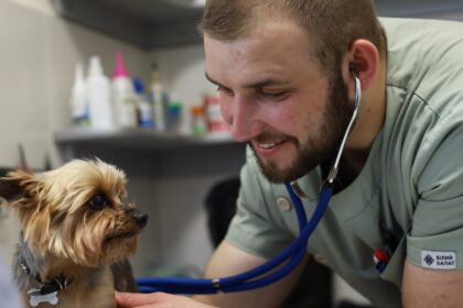 Чому базова консультація ветеринара потребує аналізів тварині?