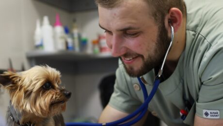 Чому базова консультація ветеринара потребує аналізів тварині?