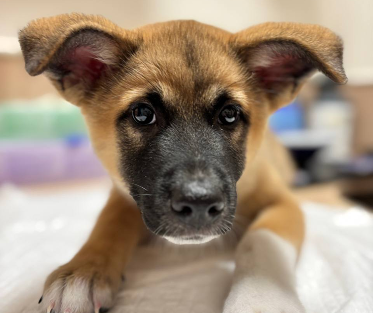 5341807060221817015 1