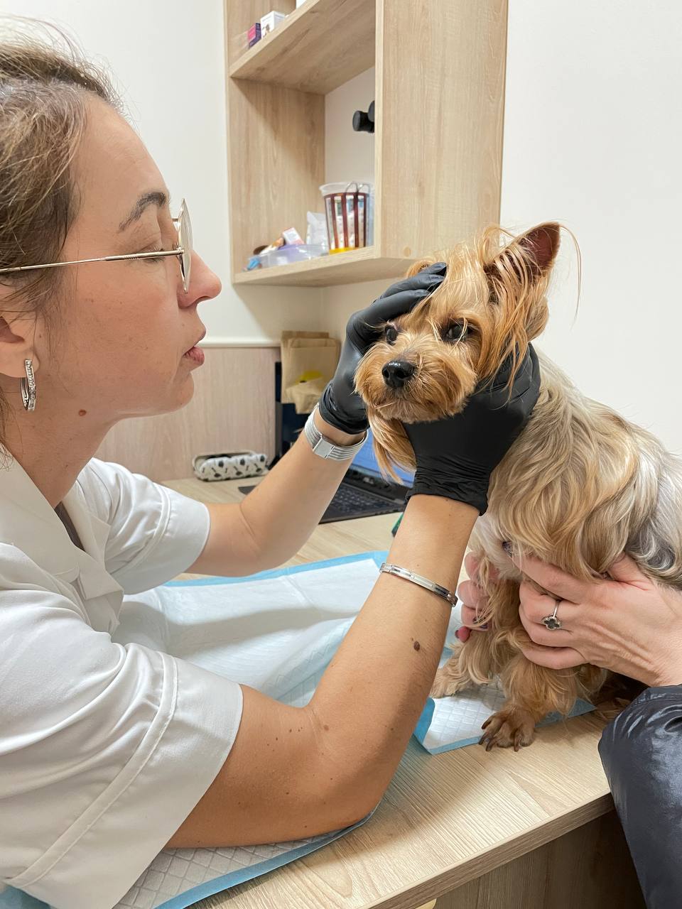 ffa4608d-f0db-42d0-8a27-821172ce1d9d