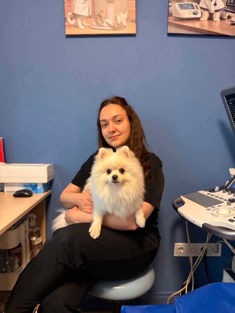 English-speaking veterinarian in Lviv: consultation at Doctor Vet